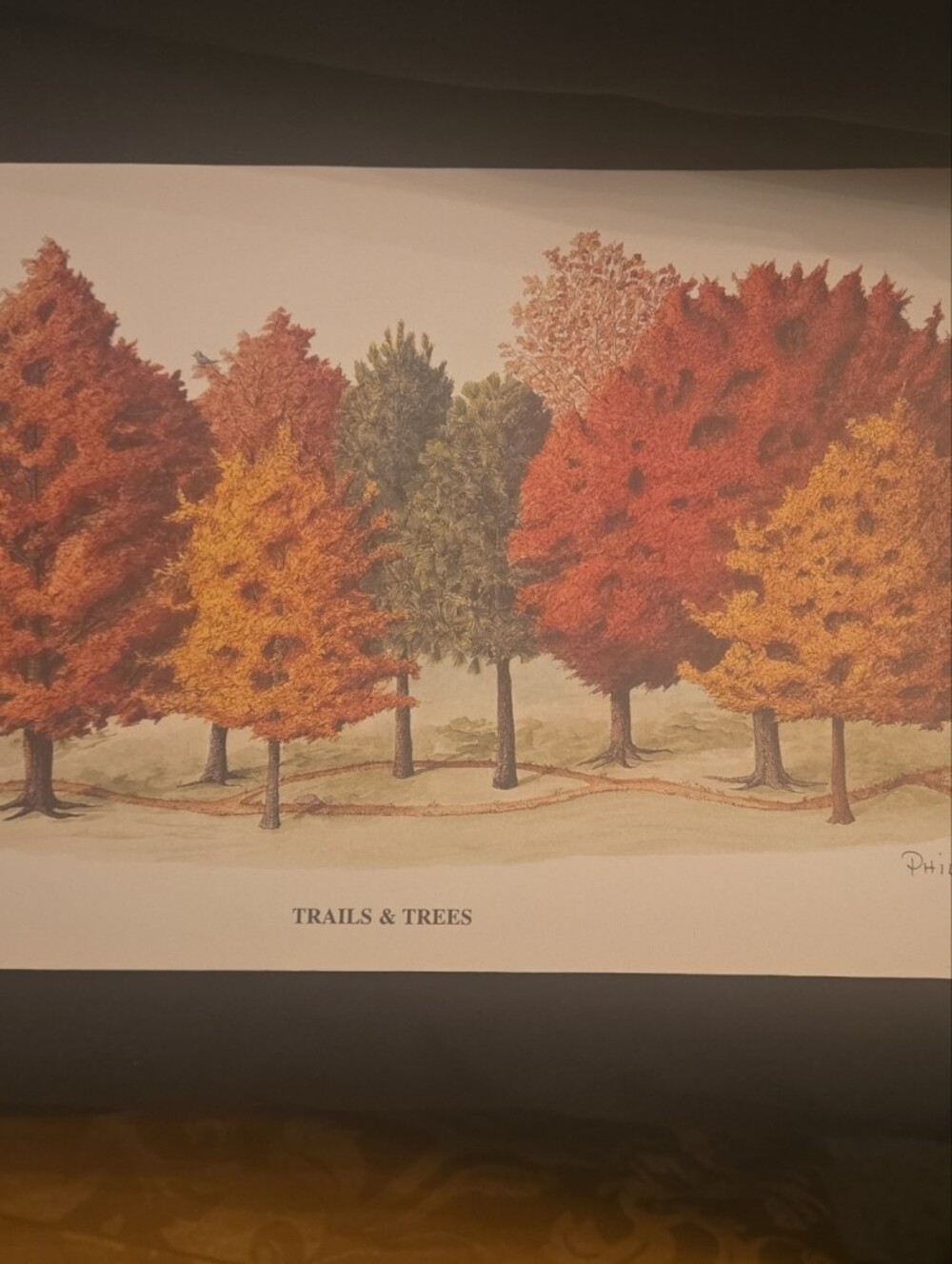 Trails & Trees Fall  Art Print - Autumn Colors.  Signed By Phil Ponder